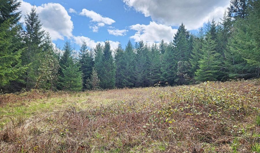 BOLTON HILL RD S, Veneta, OR 97487 - 0 Beds, 0 Bath