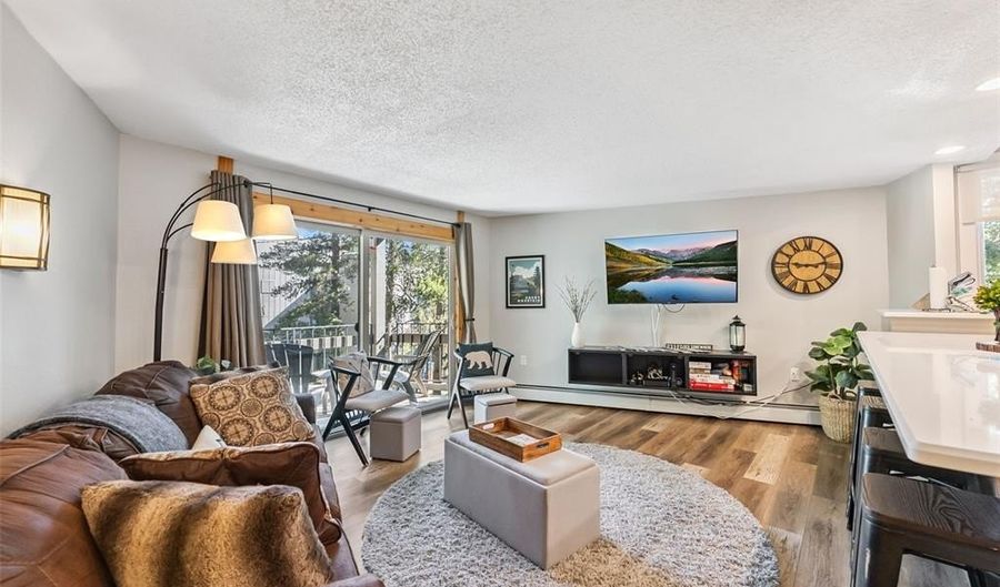 1105 SKI HILL Rd 70, Breckenridge, CO 80424 - 2 Beds, 2 Bath