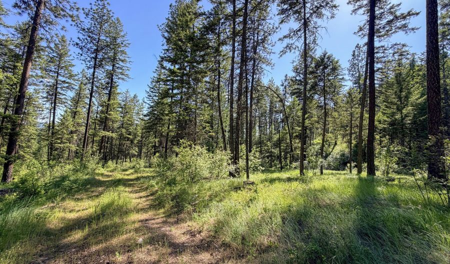 2008- TBD LOTS A-D SUMMIT VALLEY Rd, Addy, WA 99101 - 0 Beds, 0 Bath