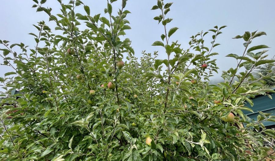 16391 HIGHWAY 101 48, Brookings, OR 97415 - 3 Beds, 2 Bath