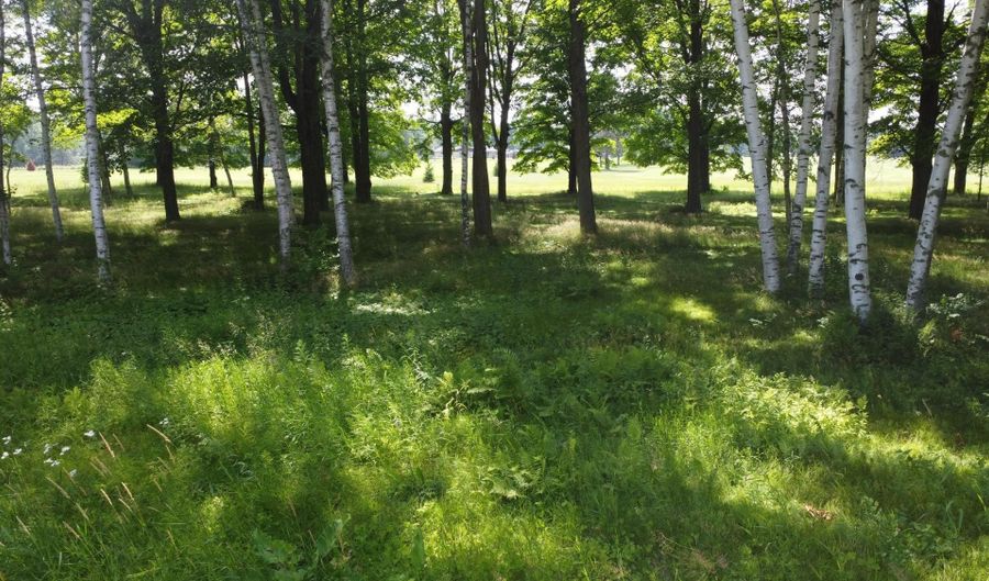 HUNTER CR lot 11, Antigo, WI 54409 - 0 Beds, 0 Bath