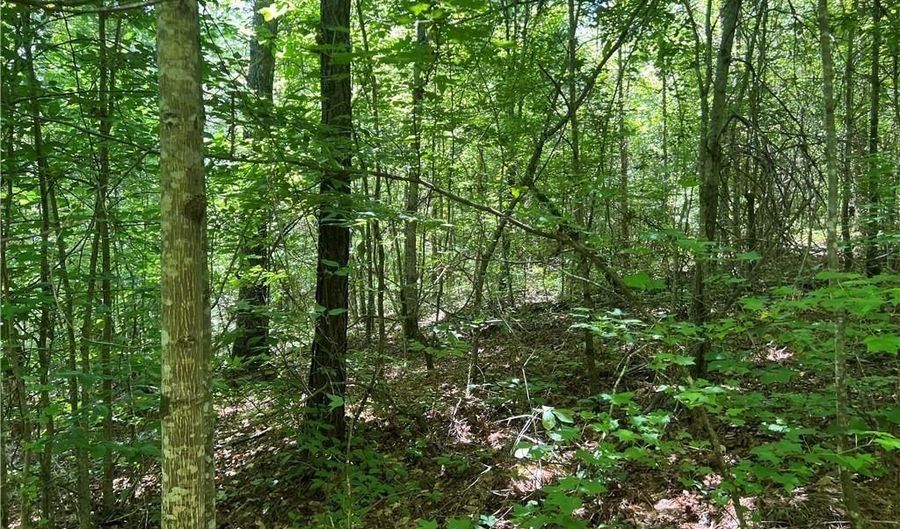Fortner Road, Ball Ground, GA 30107 - 0 Beds, 0 Bath