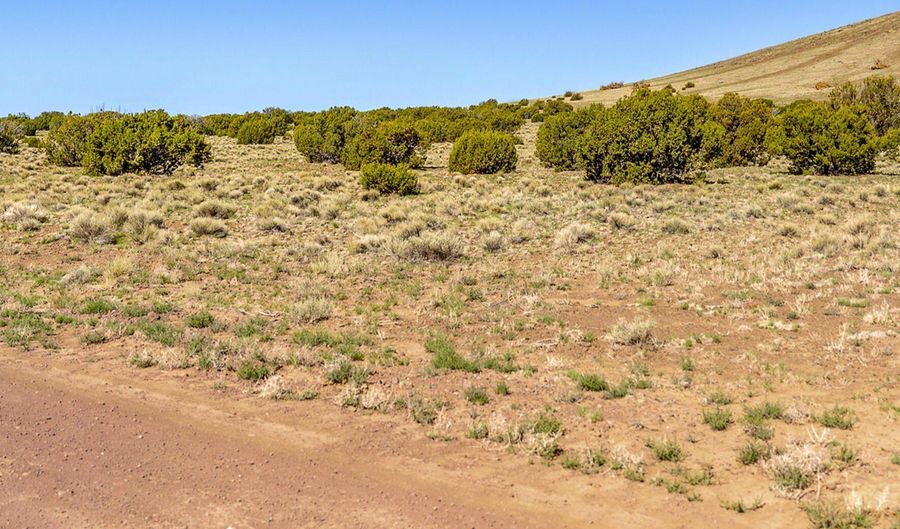 Co Rd 5106 Lot # 1 1.1 Acres, Concho, AZ 85924 - 0 Beds, 0 Bath