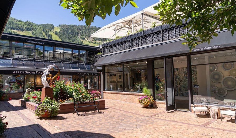 525 E Cooper Ave 205, Aspen, CO 81611 - 0 Beds, 0 Bath