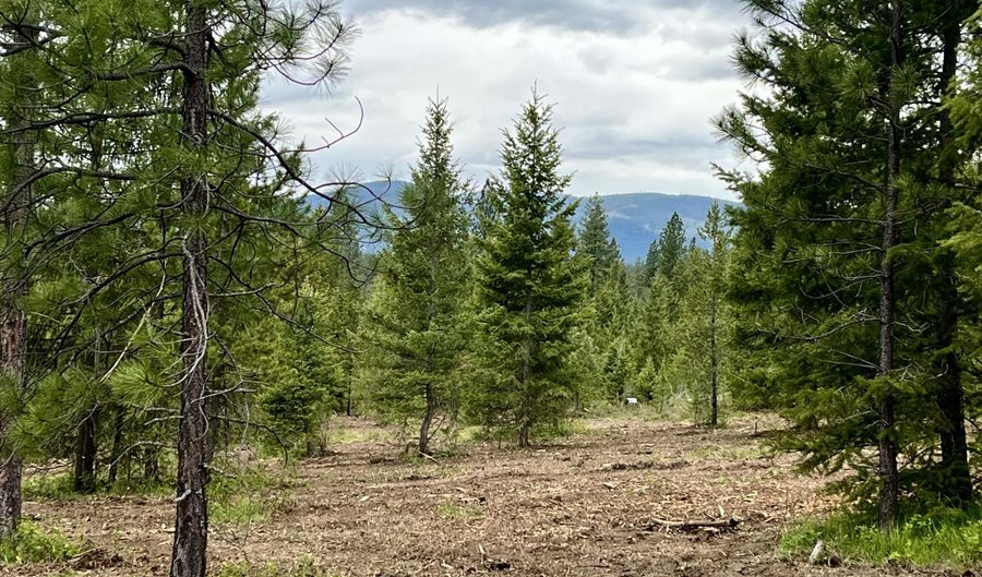 12 Acres Elizabeth Ln, Athol, ID 83801 - 0 Beds, 0 Bath