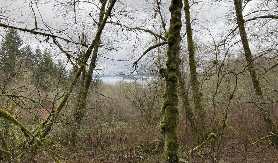 NE 197th Ct, Amboy, WA 98601 - 0 Beds, 0 Bath
