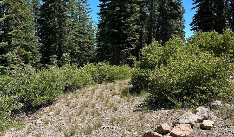 39 Liberty Rd, Arnold, CA 95223 - 0 Beds, 0 Bath