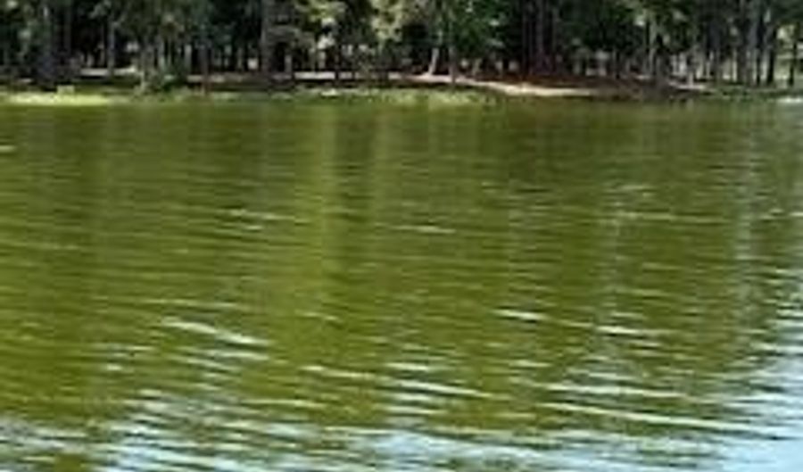 711 Galaxy Dr S, Abbeville, AL 39854 - 0 Beds, 0 Bath