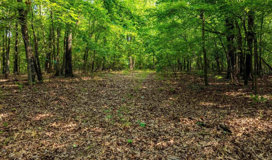 Cave Creek Road, Batesville, AR 72501 - 0 Beds, 0 Bath