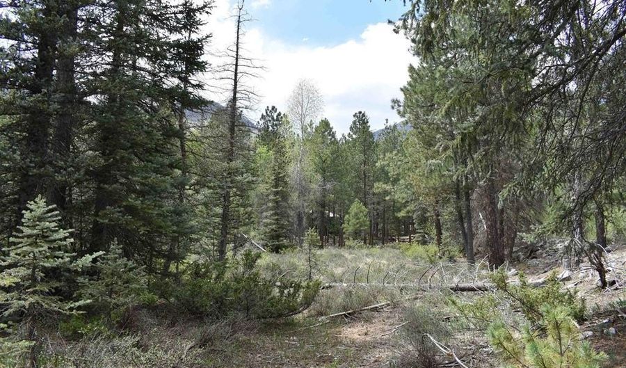 264 Ponderosa Homes Rd, Bayfield, CO 81137 - 0 Beds, 0 Bath