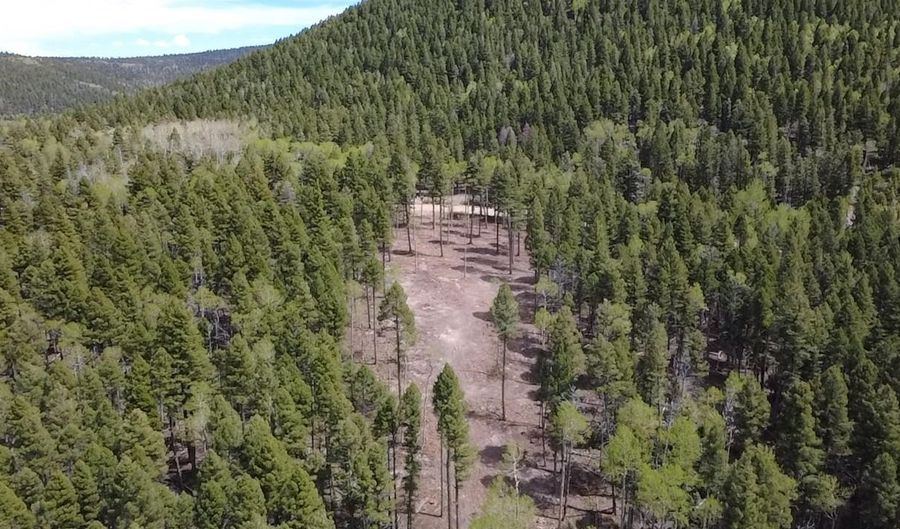 Back Basin Rd lot 14, Angel Fire, NM 87710 - 0 Beds, 0 Bath
