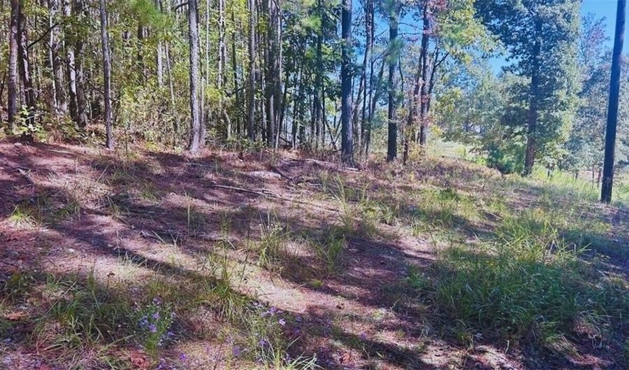 0 Williamson Rd, Tallapoosa, GA 30176 - 0 Beds, 0 Bath