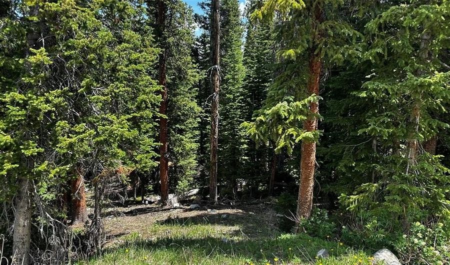 584 Camron Ln Lot 6, Breckenridge, CO 80424 - 0 Beds, 0 Bath