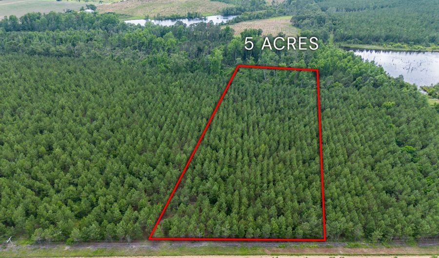 Tract 8 Sanderling, Alma, GA 31510 - 0 Beds, 0 Bath