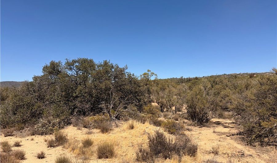 58650 Wellman Rd, Anza, CA 92539 - 0 Beds, 0 Bath
