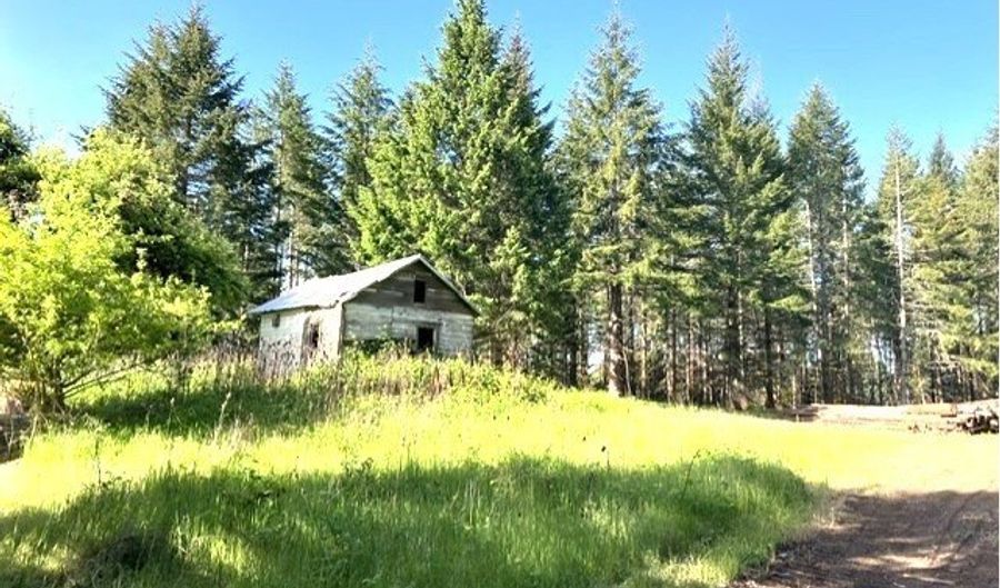 NW Lodge Rd, Banks, OR 97106 - 0 Beds, 0 Bath