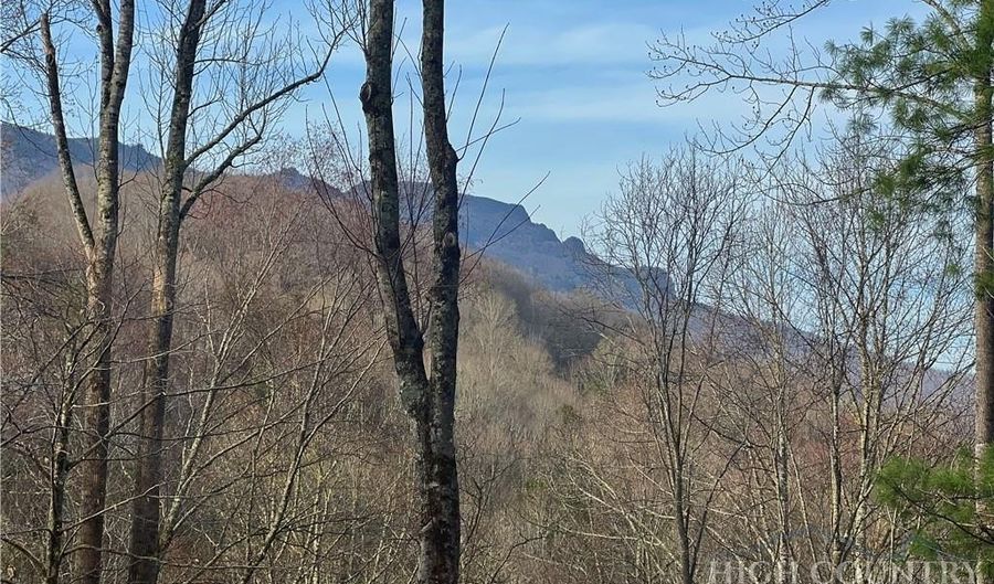 Basswood, Banner Elk, NC 28604 - 0 Beds, 0 Bath