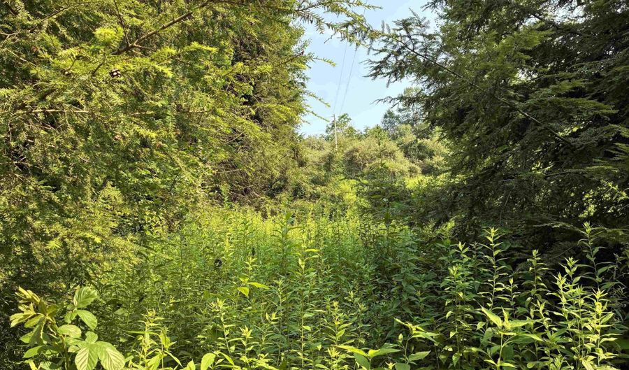 Woolen Mills Road lot B, Albright, WV 26519 - 0 Beds, 0 Bath