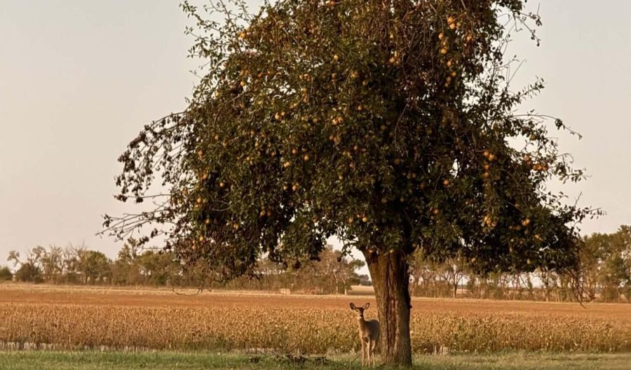 1680 2000 Rd, Bartlett, KS 67332 - 5 Beds, 2 Bath