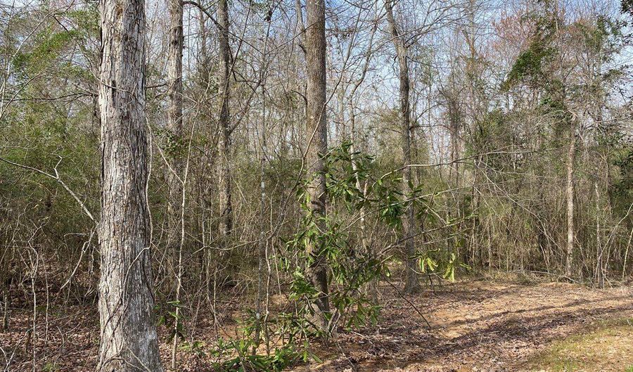 Poplar Ridge Lane, Brookhaven, MS 39601 - 0 Beds, 0 Bath