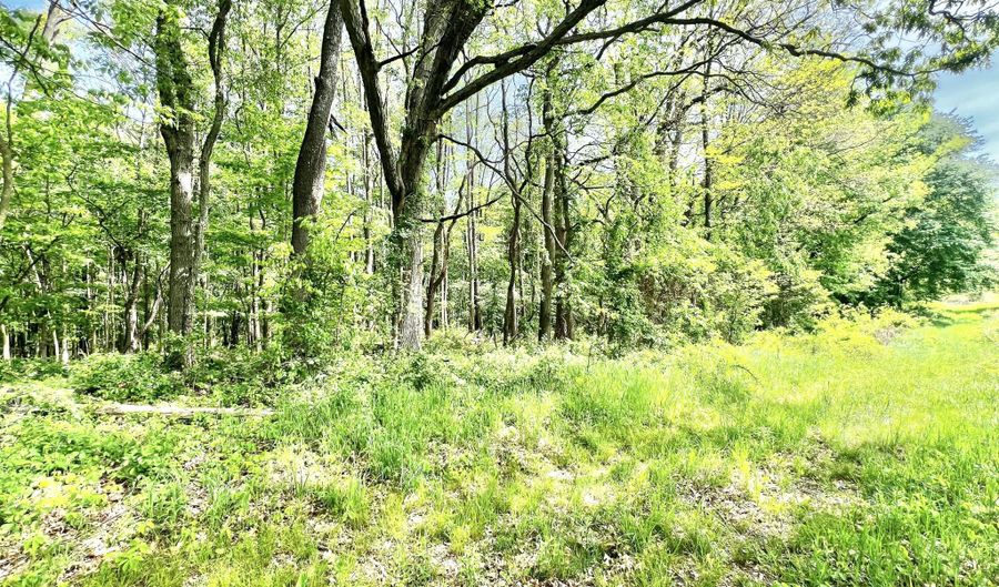 16400 28 Mile Rd, Albion, MI 49224 - 4 Beds, 2 Bath