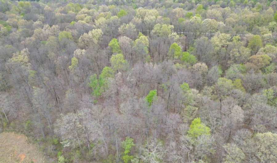 Tract 4 E Pine Road Common, Bloomfield, IN 47424 - 0 Beds, 0 Bath