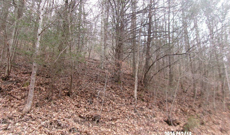 3675 Anawalt Ridge Rd, Anawalt, WV 24808 - 0 Beds, 0 Bath