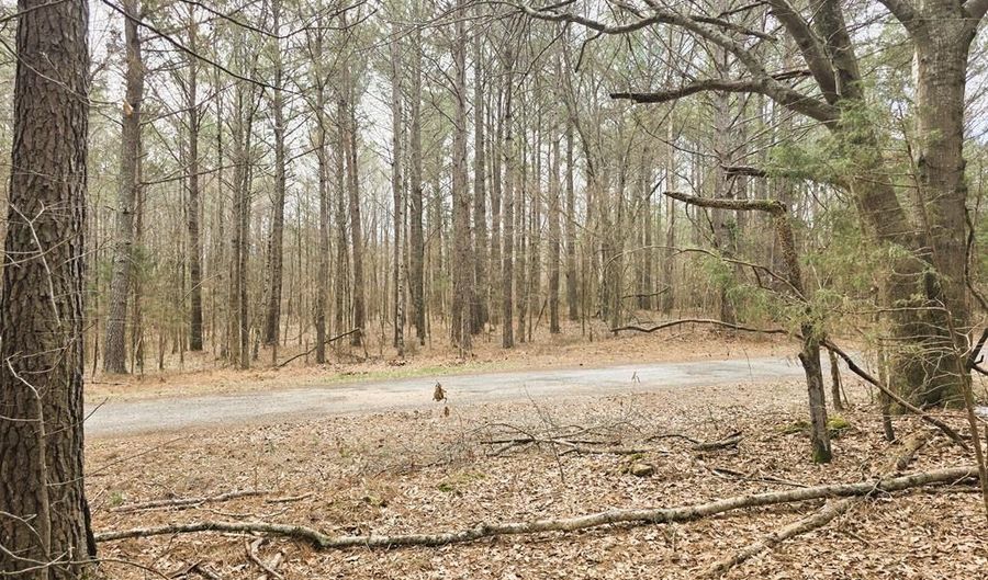 Zig Zag, Big Sandy, TN 38221 - 0 Beds, 0 Bath