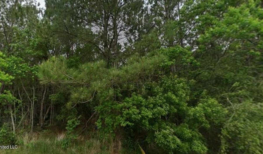 Beverly Street, Bay St. Louis, MS 39520 - 0 Beds, 0 Bath