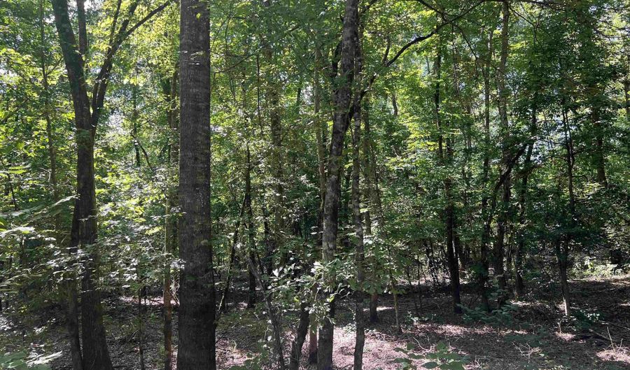 776 JOHN ASHLEY, Amity, AR 71921 - 0 Beds, 0 Bath