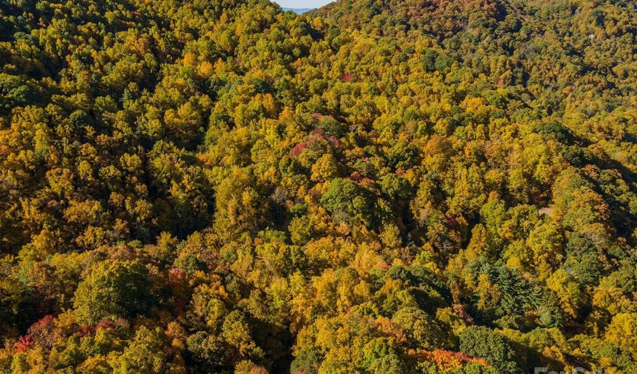 99999 Harwood Rd, Barnardsville, NC 28709 - 0 Beds, 0 Bath