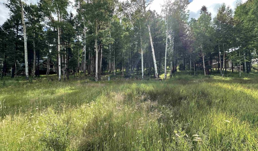 Lot 577 El Camino Real, Angel Fire, NM 87710 - 0 Beds, 0 Bath