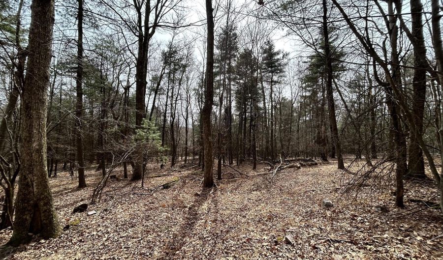 385 ELK CREEK Rd, Aaronsburg, PA 16820 - 7 Beds, 1 Bath