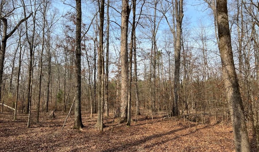 Cunningham Road, Bradley, SC 29819 - 0 Beds, 0 Bath