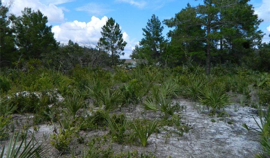 2220 N ALTAIR Rd, Avon Park, FL 33825 - 0 Beds, 0 Bath