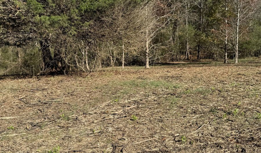 Sugar Tree Trail, Birchwood, TN 37308 - 0 Beds, 0 Bath