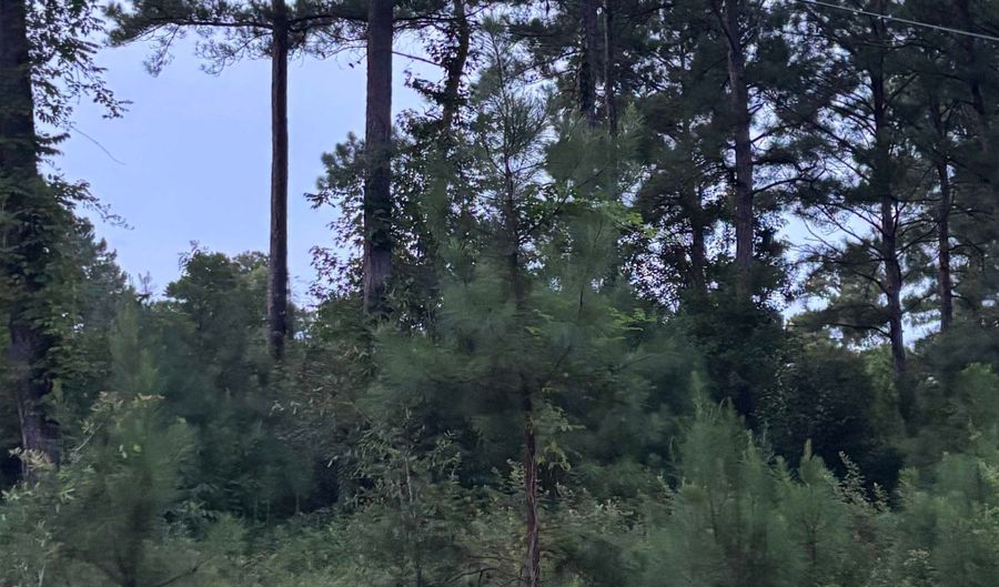 Fop Lodge Rd, Andalusia, AL 36421 - 0 Beds, 0 Bath