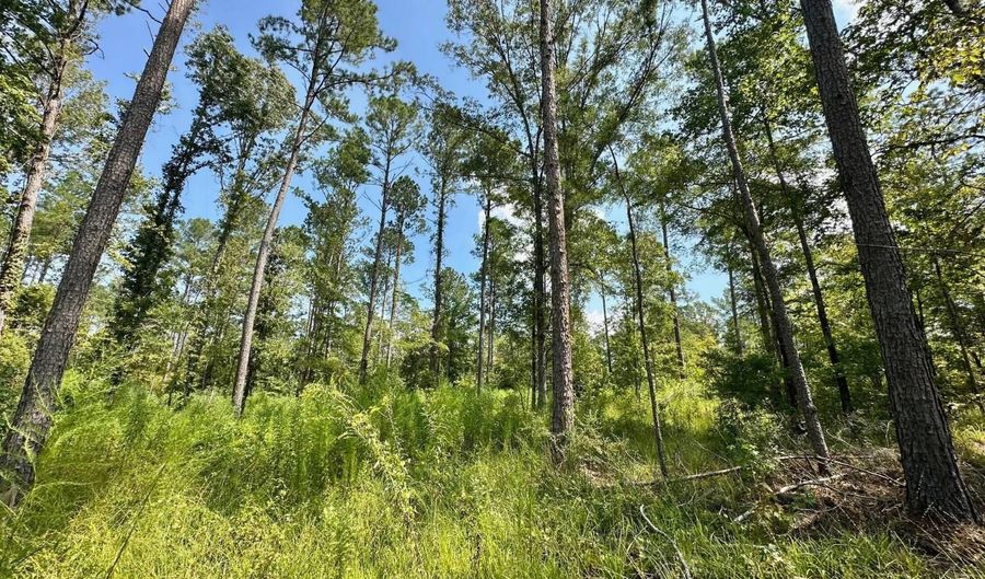 1 Prentiss Crump Rd, Terry, MS 39170 - 0 Beds, 0 Bath