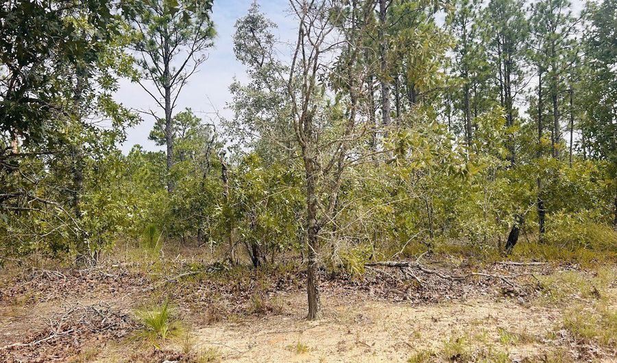 375 Village Ln, Mauk, GA 31058 - 0 Beds, 0 Bath