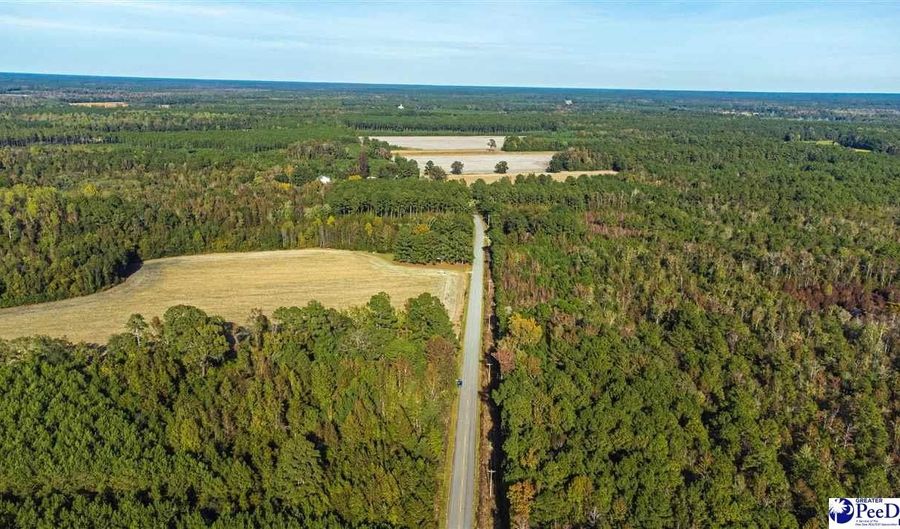 TBD I M Graham Rd, Cades, SC 29518 - 0 Beds, 0 Bath