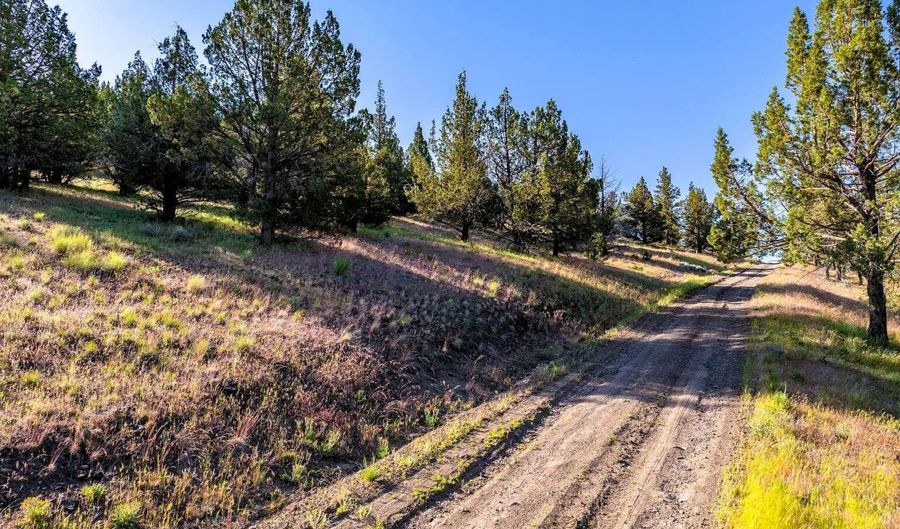 737 Raccoon Ln, Alturas, CA 96101 - 0 Beds, 0 Bath