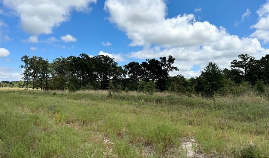 Lot 21 Rains County Rd 2610, Alba, TX 75410 - 0 Beds, 0 Bath