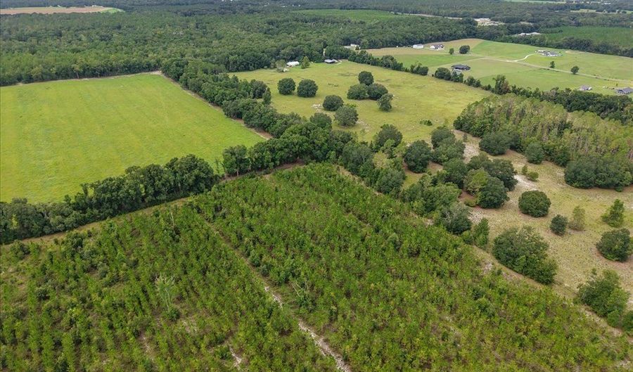 3670 25th Cir, Bell, FL 32619 - 3 Beds, 2 Bath