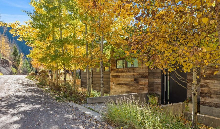 191 Skimming Ln, Aspen, CO 81611 - 5 Beds, 6 Bath