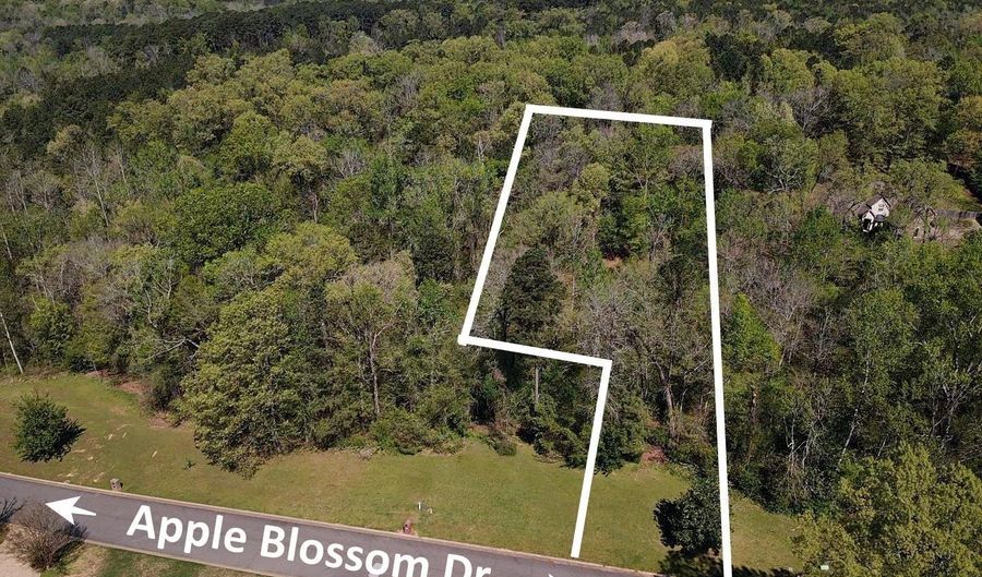 Lot 59 Apple Blossom Drive, Arkadelphia, AR 71923 - 0 Beds, 0 Bath