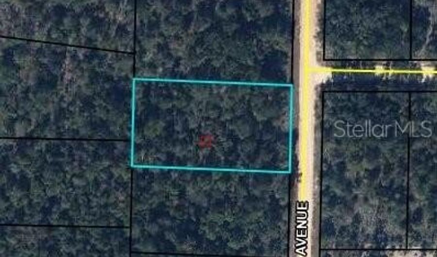 CANYON Avenue, Alford, FL 32420 - 0 Beds, 0 Bath