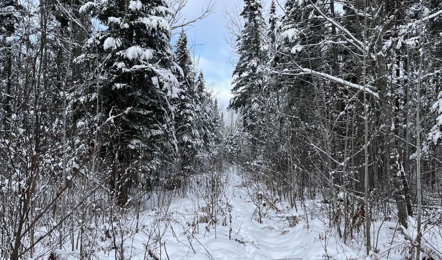 Frenchville Road, Ashland, ME 04732 - 0 Beds, 0 Bath