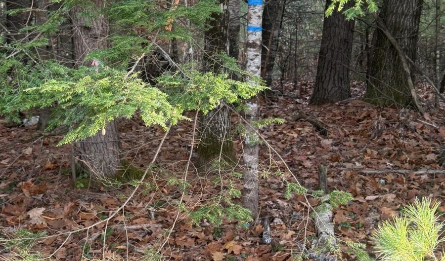 Lot 1-B 1 Sebago Road, Baldwin, ME 04029 - 0 Beds, 0 Bath