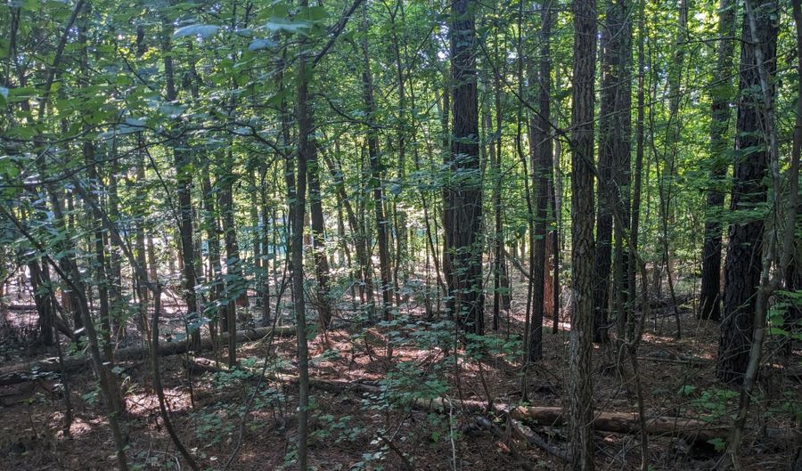 Lot 24 SAVANNAH RIDGE Road, Lincolnton, GA 30817 - 0 Beds, 0 Bath