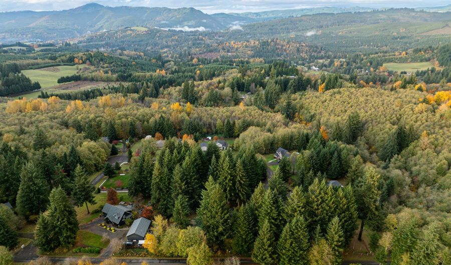 39920 NE 127TH Ct, Amboy, WA 98601 - 5 Beds, 3 Bath